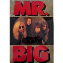 MR. BIG - 1991 Tour - JAPAN TOUR BOOK
